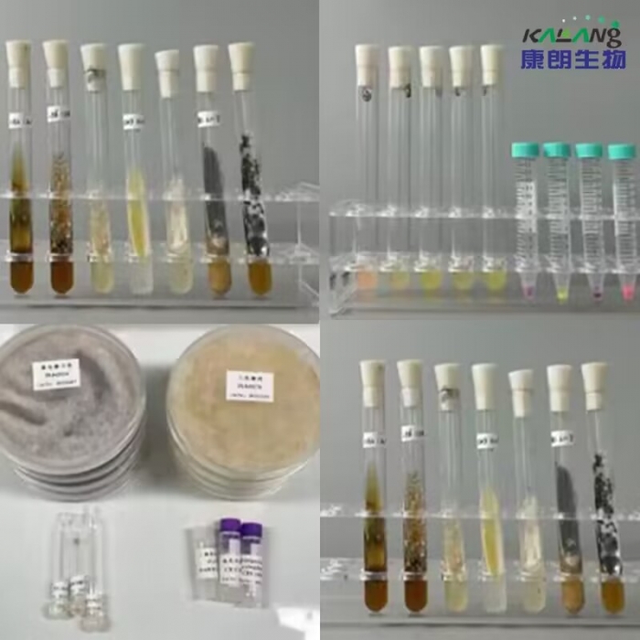 粪肠球菌（粪链球菌） KL11382KRA - 康朗生物官方商城-康朗生物-试剂盒 